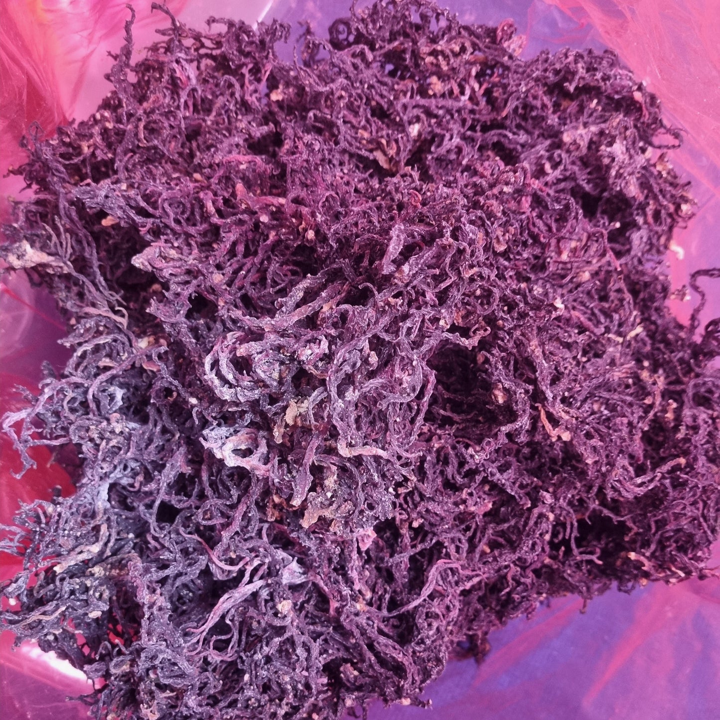 Raw Purple Sea Moss – Organic St. Lucia Seamoss | Mineral-Rich Superfood
