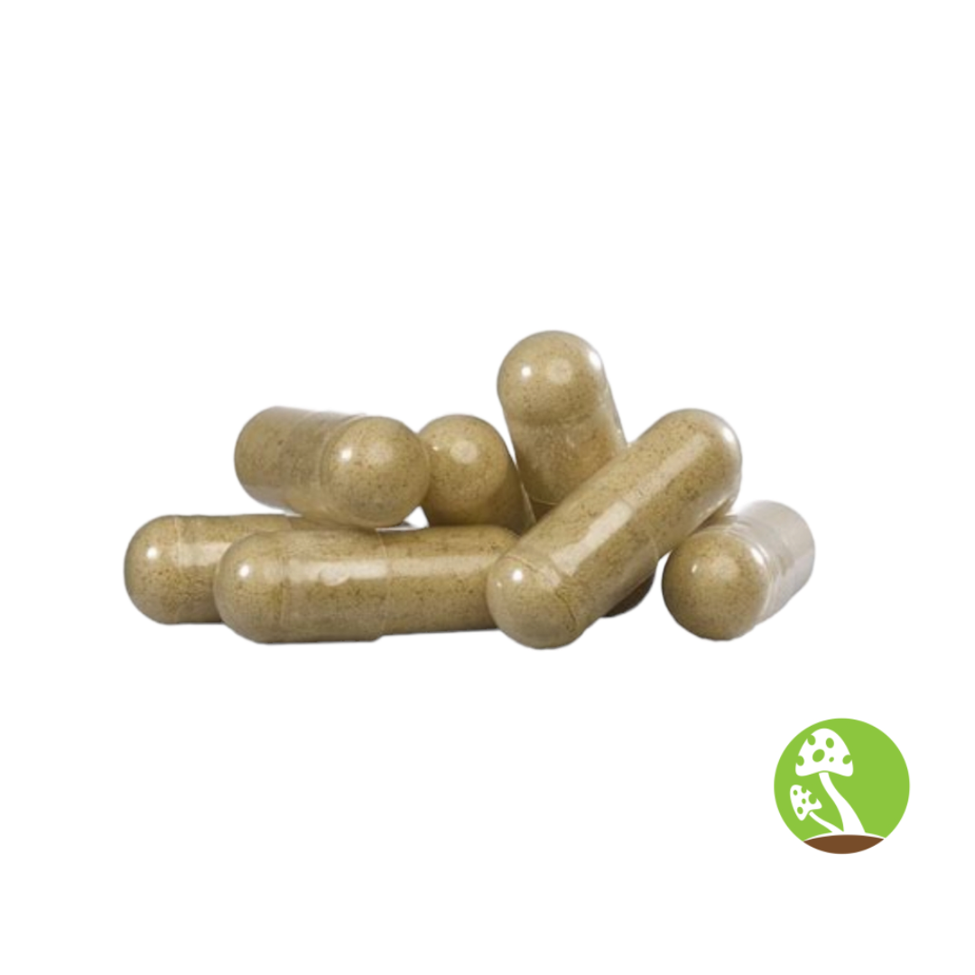 Cordyceps Mushroom Capsules – Immune & Energy Support | 500mg