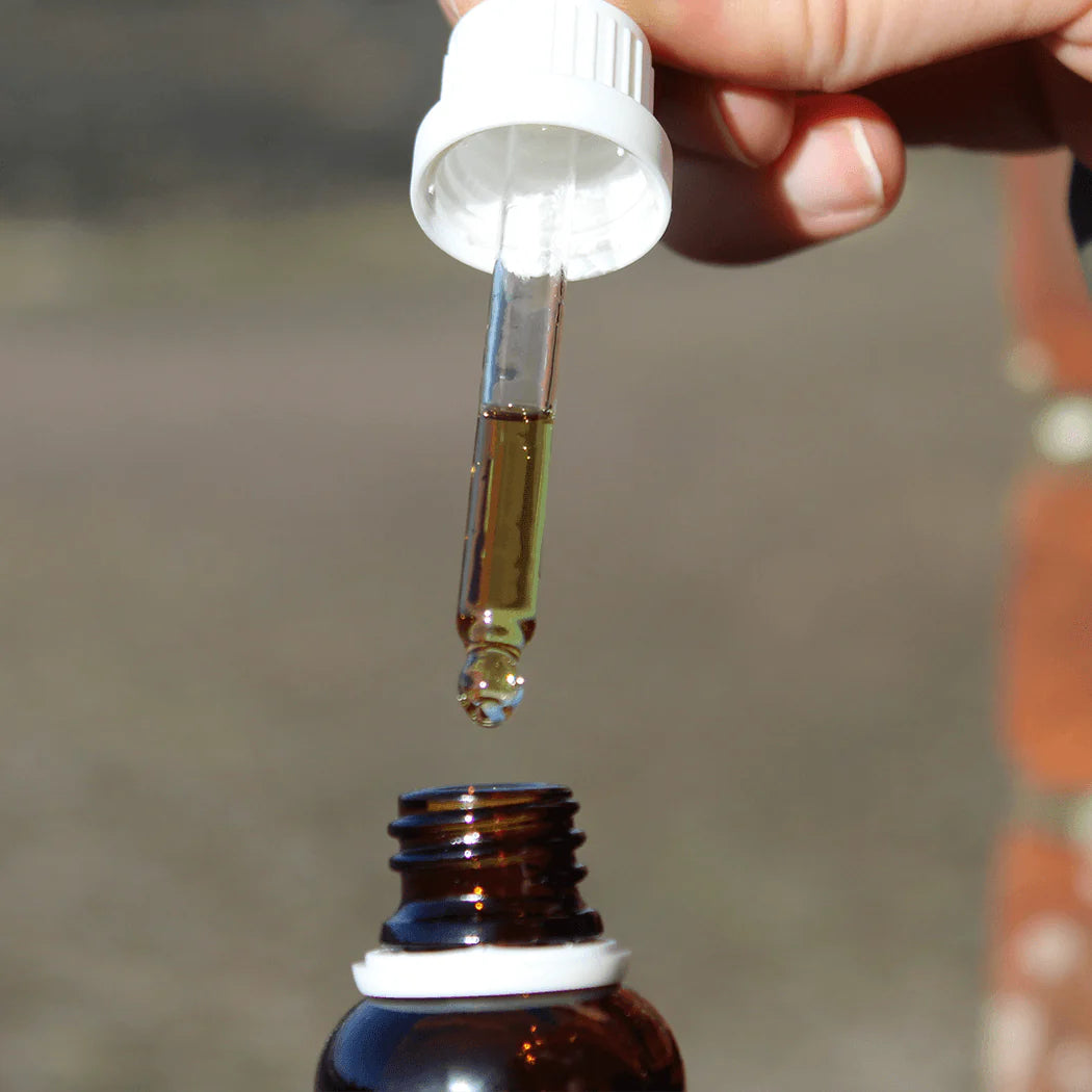 Unlocking the Potential of Cold-Pressed CBD Oil