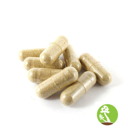 REISHI Mushroom Capsules