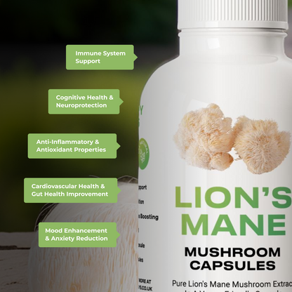 Organic Lions Mane Vegan Mushroom Capsules