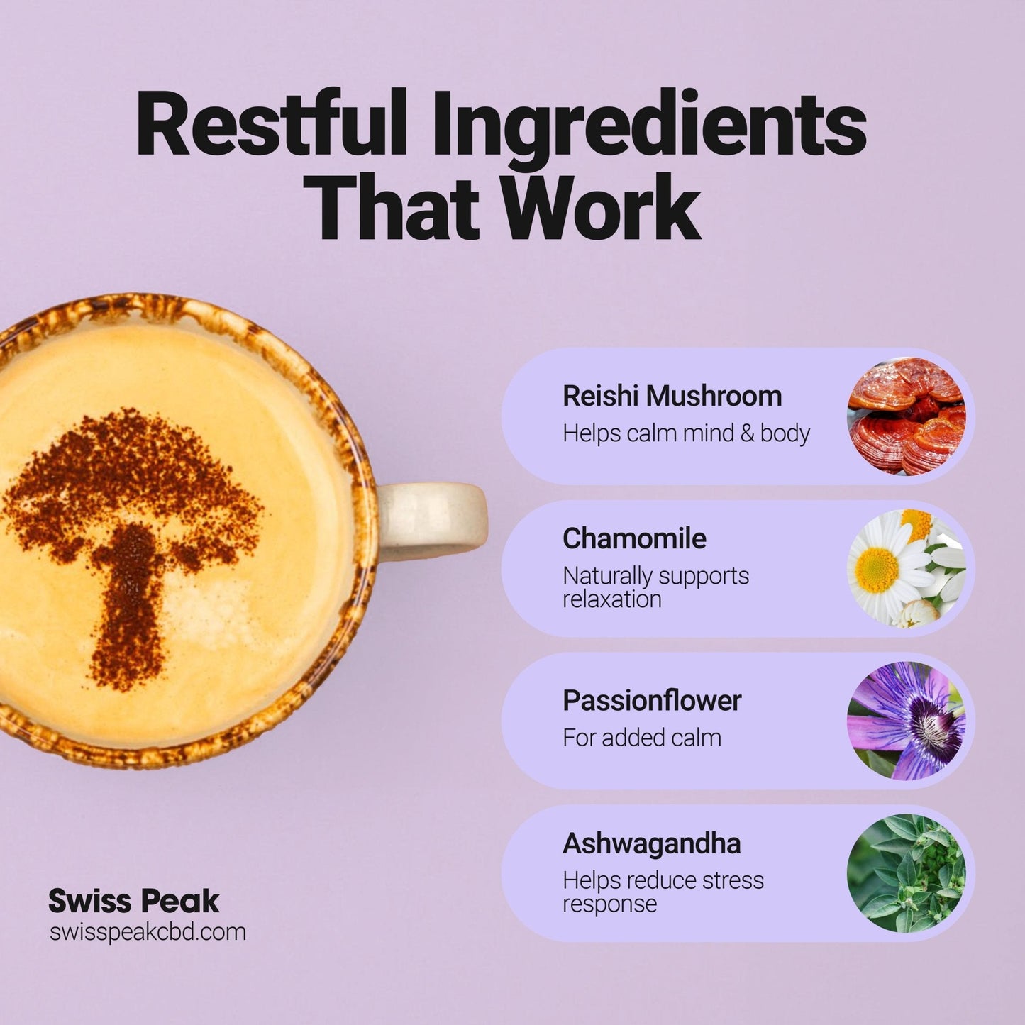 Sleep Mushroom Cacao Blend | 240g